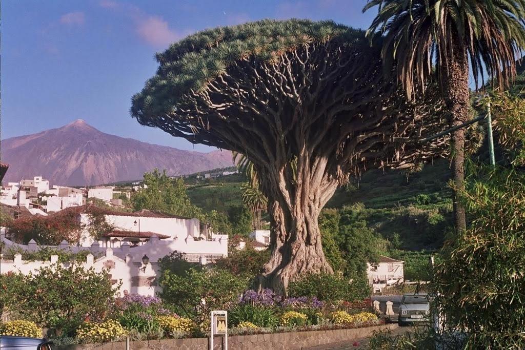 Villa Violeta San Cristóbal de La Laguna Exterior foto